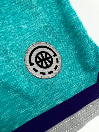 Shirts & Skins OG Stripe Heather Short (Teal Heather/Purple/Grey) Close-up